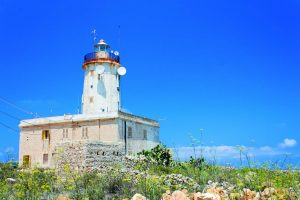 Photos by Dr Edward Duca