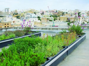 The LifeMedGreenRoof project