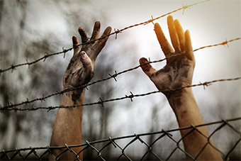 Hands touching barbed wire