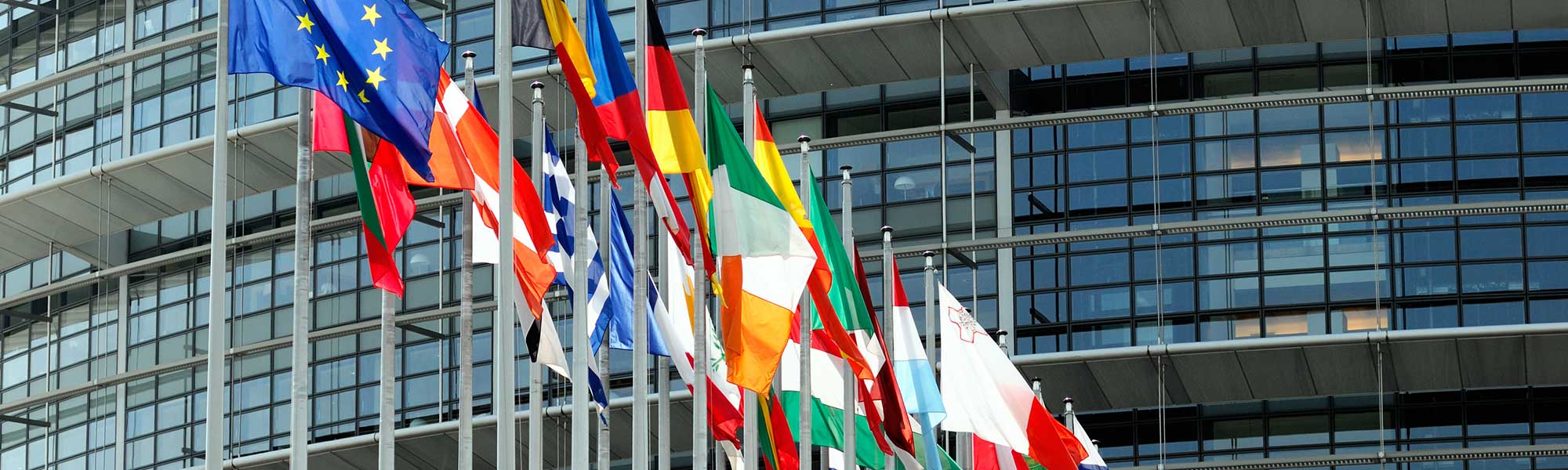 Flags of European Union countries and EU flag