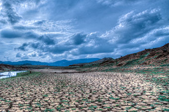 Landscape of a drought