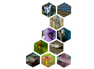 Nature photography poster