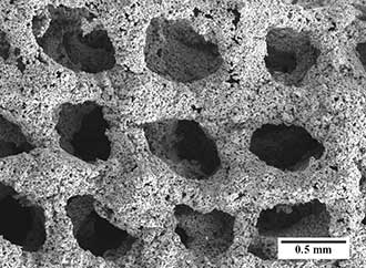 Scanning Electron Microscopy image of the first BioSA prototype