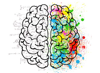 University of Malta Frontiers in Psychology