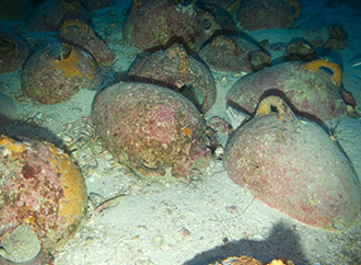 Phoenician Shipwreck