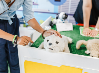 pet robots