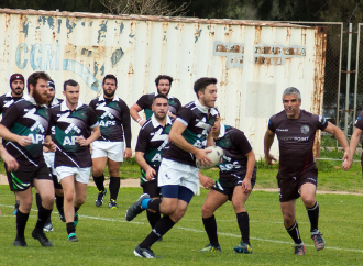 wolves rugby