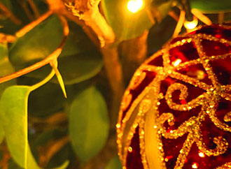 Bauble next to plant