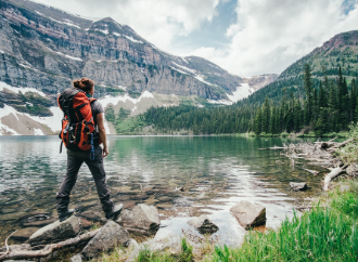 wilderness