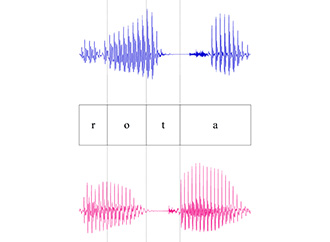 University of Malta Study Reveals Generational Shift in Maltese /r/ Pronunciation