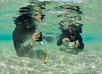 Applied Biology image