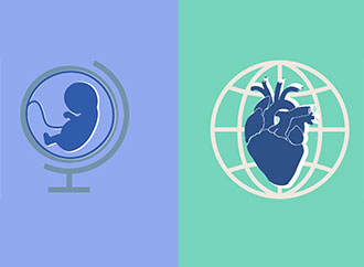 fetus and heart in globe