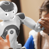 Social Robots in Education