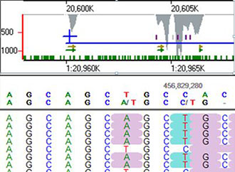 Project by Rosienne Farrugia