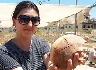 Archaeological excavations