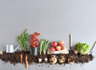 food agriculture