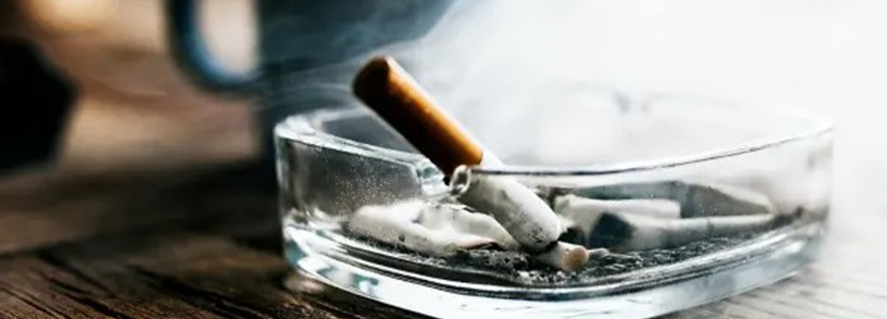how to process tobacco Extraction and Purification of Nicotine from Tobacco Waste by a Sustainable  Aqueous Two-Phase System Containing Recyclable Hydrophilic Alcohol and Salt
