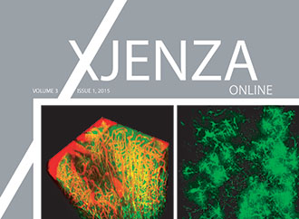 Xjenza Online
