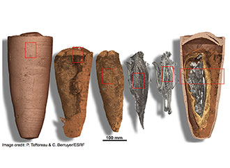 Computer vision techniques to analyse mummies