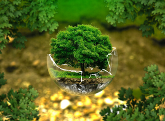 Environmental challenges