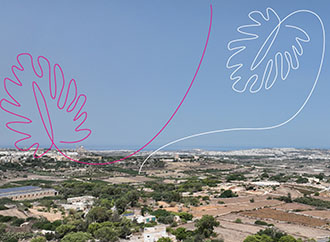 The Maltese countryside