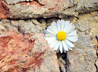Resilience