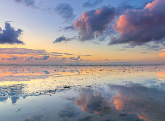 orientation-mindfulness