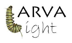 LarvaLight