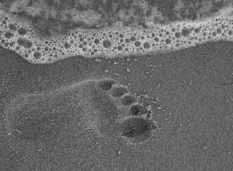 MUHC course diabetes