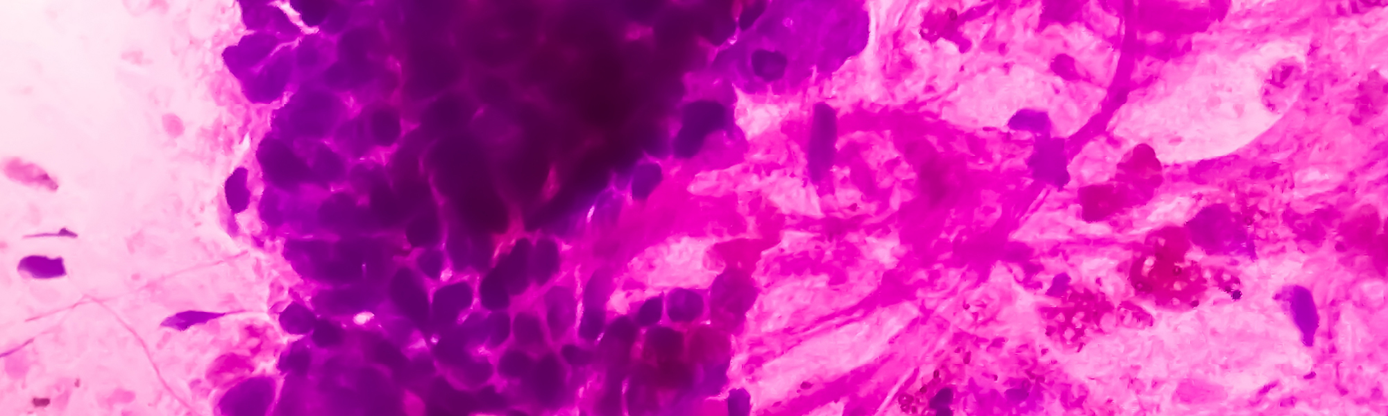 Abstract art in pink