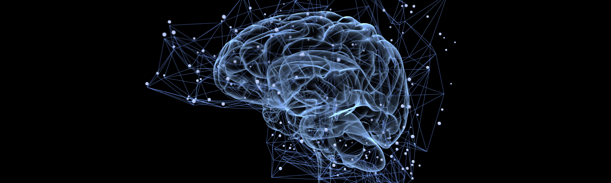 Concept of the brain