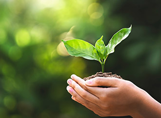 Hand holding young plant with sunlight on green nature background - concept eco earth day