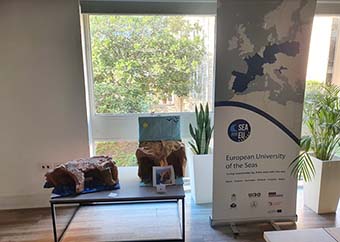 SEA-EU roll up banner