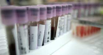 Faculty of Medicine & Surgery