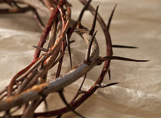 Plunging into the Suffering Christ