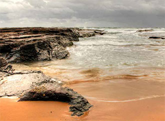 Global Climate Change