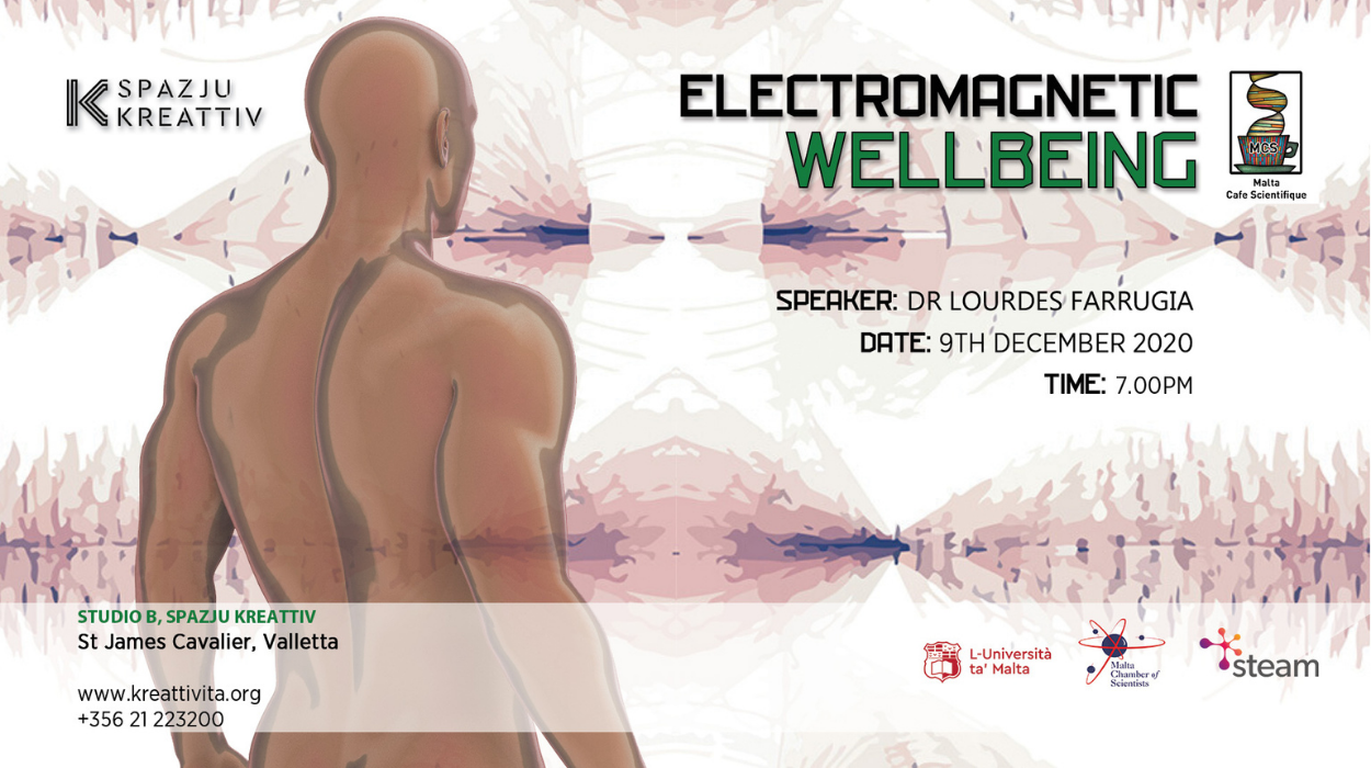 electromagnetic wellbeing