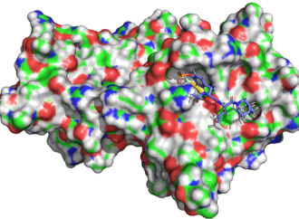 convolutional network