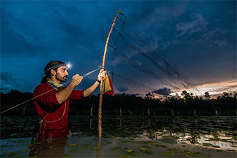 A man in water at night-time