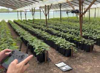 Exploring Sustainable Agriculture in Argentina: A Collaborative Endeavour