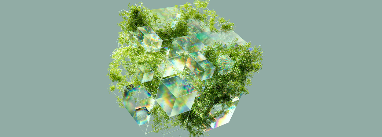 environment