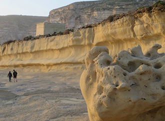 gogogozo