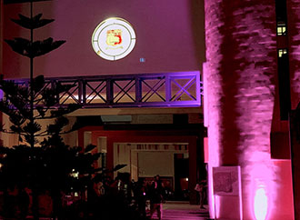Gateway Building at night in pink