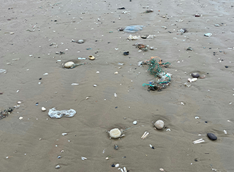 microplastics andromeda