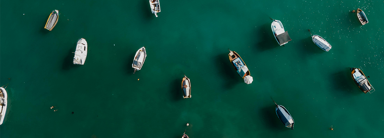 boats
