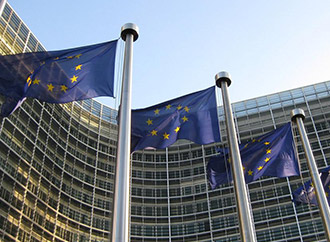 EU flags