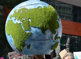 MA Humanitarian Action Scholarship