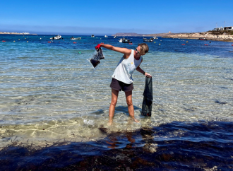 clean beaches