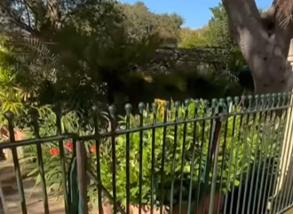 argotti reel 1 student pov