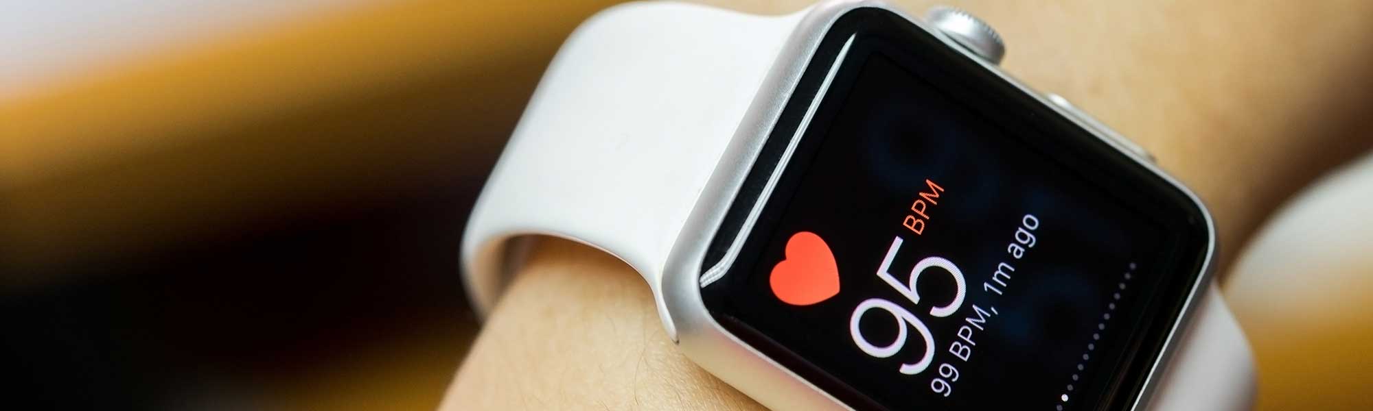 heart rate monitor